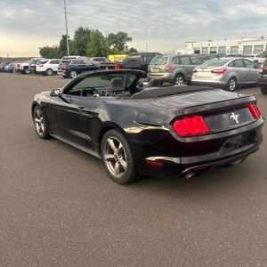 2015 FORD MUSTANG V6 照片 5