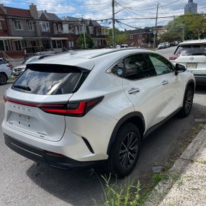 2024 Lexus NX 350H BASE 照片 7