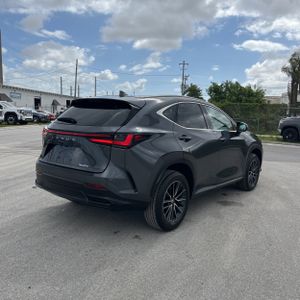 Lexus NX 250 Base - 8