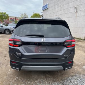 HONDA PILOT ELITE - 7