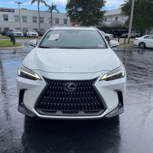 2024 Lexus NX 350 PREMIUM — фото 14