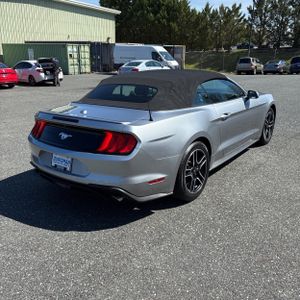 FORD MUSTANG ECOBOOST PREMIUM - 8