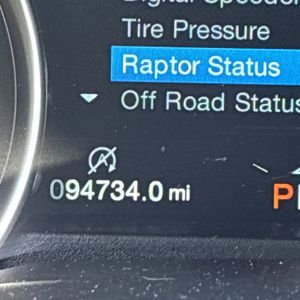 2019 FORD F-150 RAPTOR — фото 43