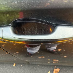صورة 71 لـ 2017 Toyota RAV4 LE