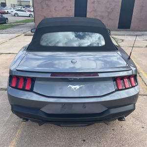 FORD MUSTANG ECOBOOST PREMIUM - 7