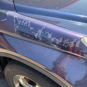2009 Honda CR-V EX-L 缩略图 53