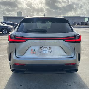 Lexus NX 250 Base - 7