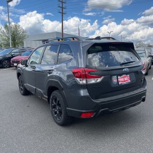 SUBARU FORESTER WILDERNESS - 5