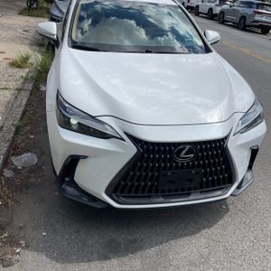 2024 Lexus NX 350H BASE 照片 12