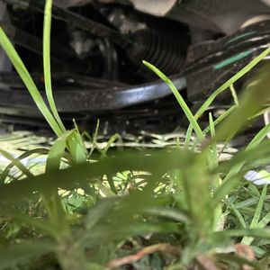 صورة مصغرة 25 لـ 2026 KIA K4 LXS
