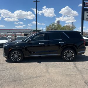 HYUNDAI PALISADE CALLIGRAPHY - 3