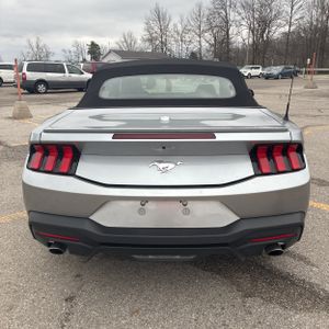FORD MUSTANG ECOBOOST PREMIUM - 7