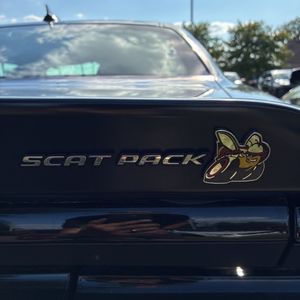 صورة مصغرة 23 لـ 2023 Dodge CHALLENGER R/T SCAT PACK
