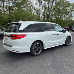 HONDA ODYSSEY ELITE - 8