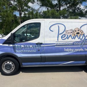 FORD TRANSIT 150 - 4