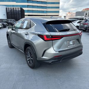 LEXUS NX 250 PREMIUM - 5