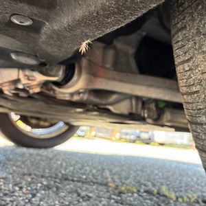 2019 Porsche CAYENNE S 照片 30