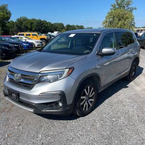 2019 Honda PILOT EX-L 照片 1