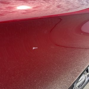 2019 Infiniti QX60 LUXE 照片 71