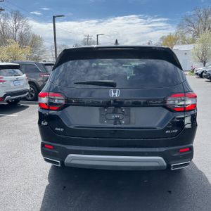 HONDA PILOT ELITE - 6