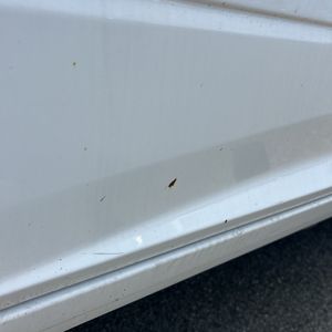 2015 RAM 2500 LONGHORN 照片 61