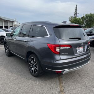 HONDA PILOT ELITE - 4