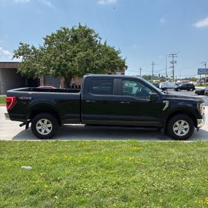 صورة 10 لـ 2023 FORD F-150 XLT