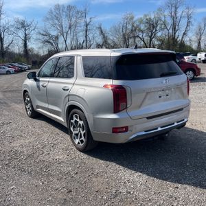 HYUNDAI PALISADE CALLIGRAPHY - 5