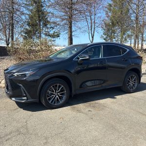 LEXUS NX 350 PREMIUM - 1
