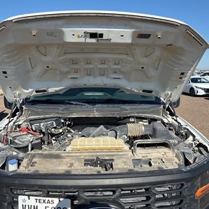 صورة مصغرة 42 لـ 2024 FORD F-150 XL