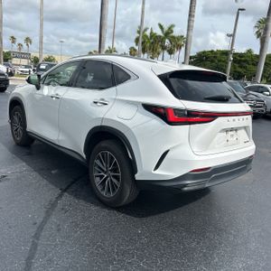 2023 Lexus NX 250 BASE 照片 5