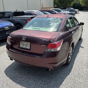 صورة 7 لـ 2010 Honda ACCORD EX-L V6