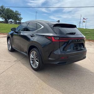 LEXUS NX 350 LUXURY - 5