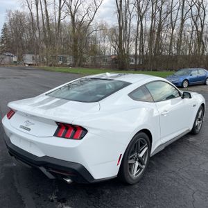 FORD MUSTANG ECOBOOST - 8