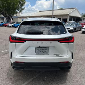 2024 Lexus NX 350 PREMIUM — фото 7