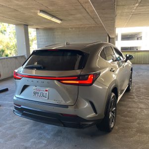 2025 Lexus NX 350 PREMIUM — фото 8