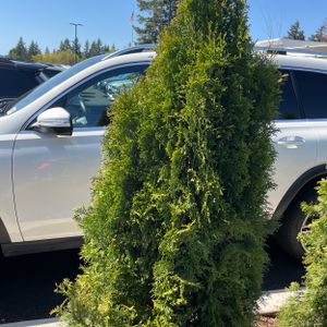 MERCEDES-BENZ GLS - 4