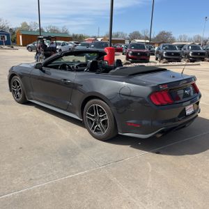 FORD MUSTANG ECOBOOST PREMIUM - 5