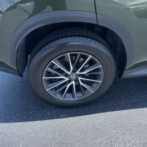 2024 Lexus NX 250 BASE — миниатюра 19