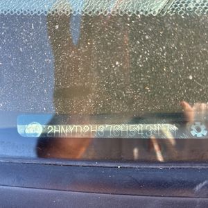 2012 Acura MDX SH-AWD W/TECH 照片 56