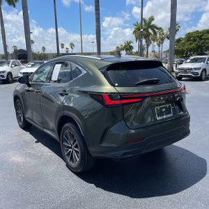 2024 Lexus NX 250 BASE 照片 5