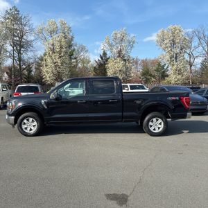 FORD F-150 XLT - 3