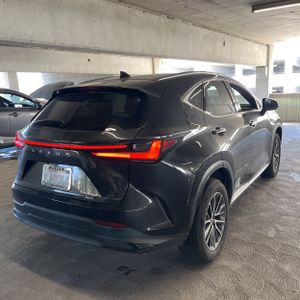 2024 Lexus NX 350H PREMIUM 照片 8