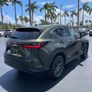 2024 Lexus NX 250 BASE 照片 8