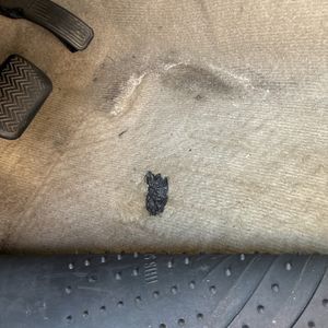 2011 Toyota RAV4 BASE 缩略图 54