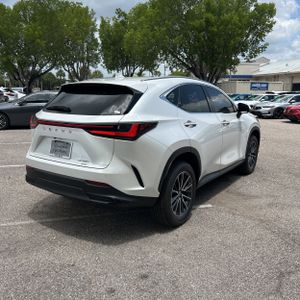 2024 Lexus NX 350 PREMIUM — фото 8