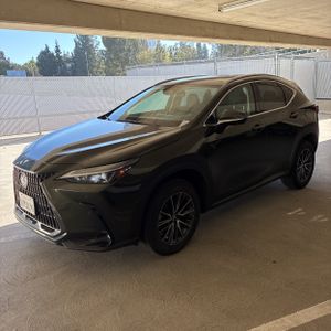 2024 Lexus NX 350 PREMIUM — фото 1