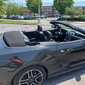 FORD MUSTANG ECOBOOST PREMIUM - 9