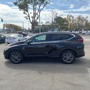 2020 Honda CR-V EX 照片 3