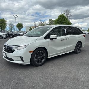 HONDA ODYSSEY ELITE - 1